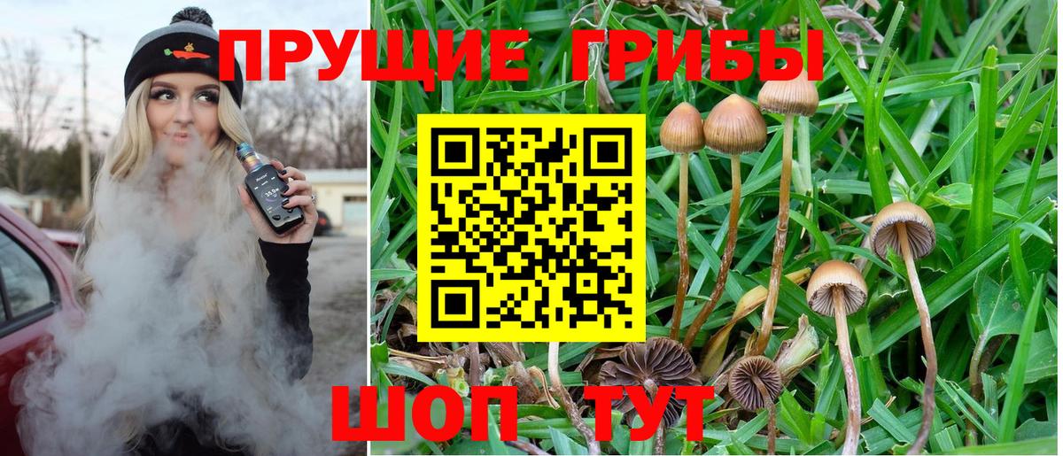 Галлюциногенные грибы мицелий Тара