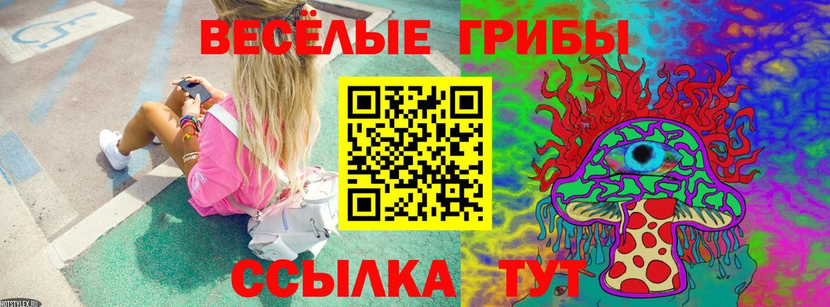 Тара  Псилоцибиновые грибы Magic Shrooms  Псилоцибиновые грибы Psilocybine cubensis  Вход с VPN 